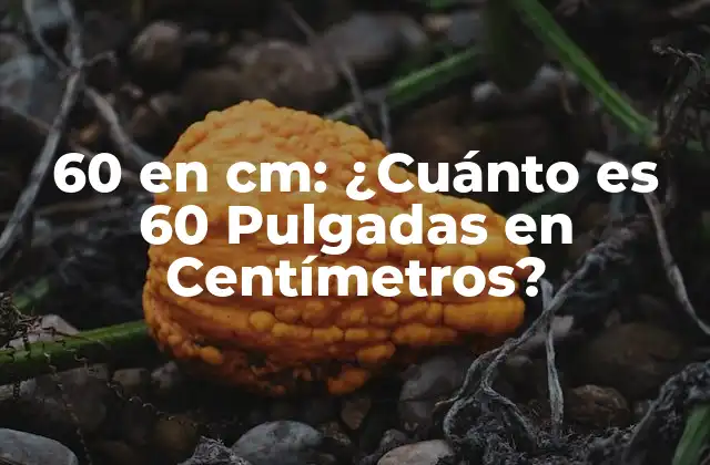60 en Cm: ¿cuánto es 60 Pulgadas en Centímetros?