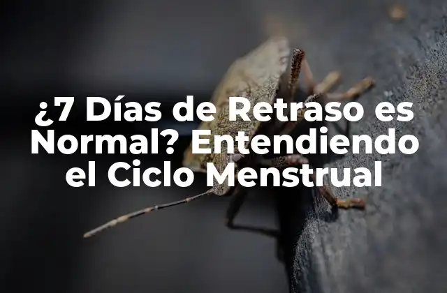 ¿7 Días de Retraso es Normal? Entendiendo el Ciclo Menstrual