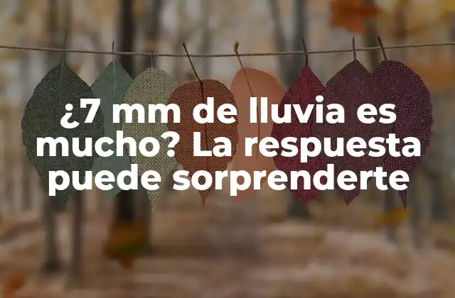¿7 Mm de Lluvia es Mucho? la Respuesta Puede Sorprenderte