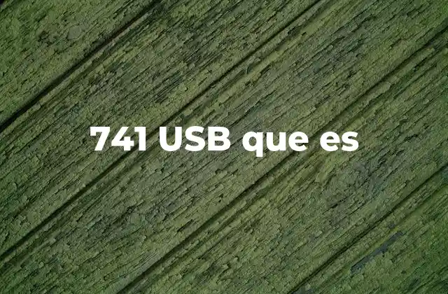 741 Usb que es