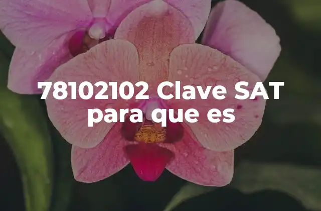 78102102 Clave Sat para que es