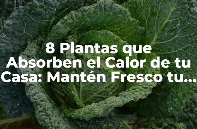8 Plantas que Absorben el Calor de Tu Casa: Mantén Fresco Tu Hogar de Forma Natural