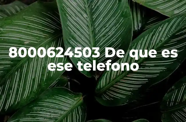 8000624503 de que es Ese Telefono