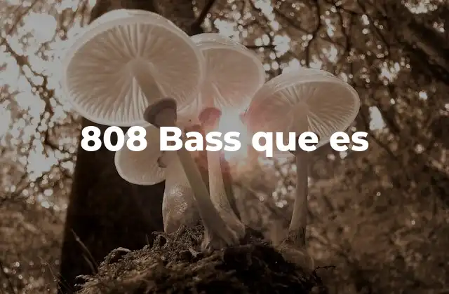 808 Bass que es