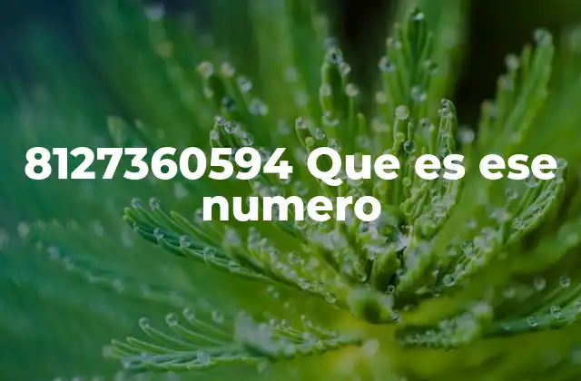 8127360594 que es Ese Numero