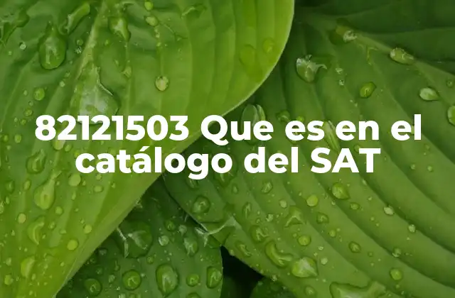 82121503 que es en el Catálogo Del Sat 2 El papel de los códigos contables en la gestión financiera