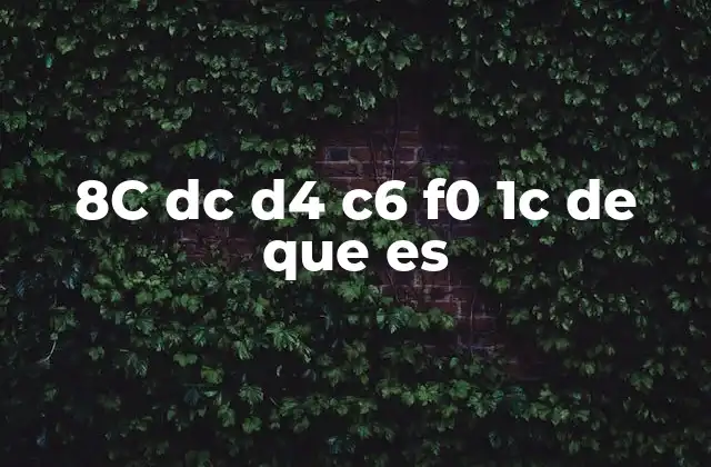 8c Dc D4 C6 F0 1c de que es