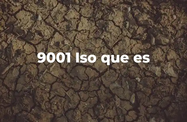 9001 Iso que es