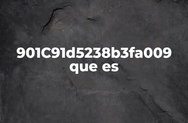 901c91d5238b3fa009 que es