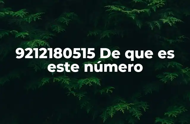 El número 9212180515 en contextos cotidianos