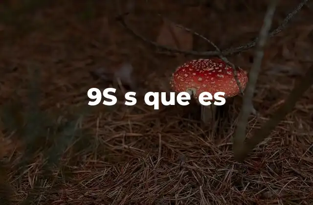 9s S que es 2 La evolución del lenguaje digital y sus abreviaturas