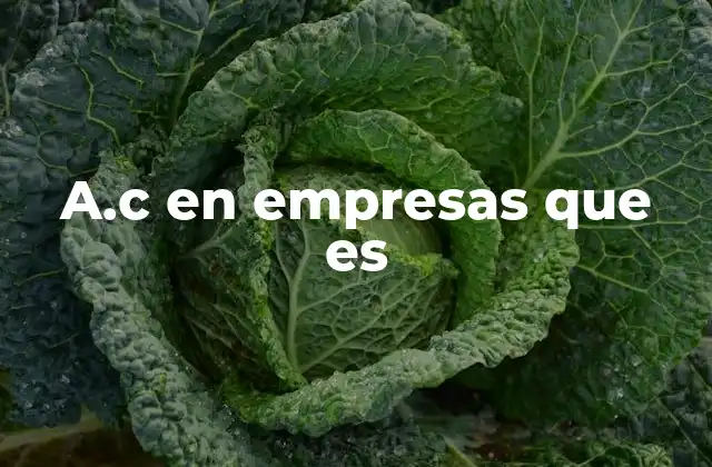 A.c en Empresas que es