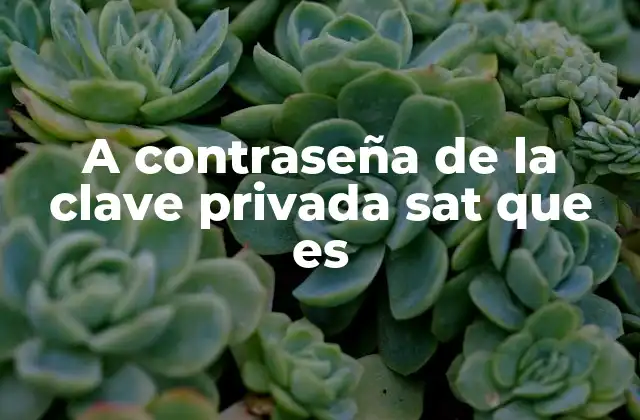 A Contraseña de la Clave Privada Sat que es 2 La importancia de la protección de claves privadas en sistemas digitales