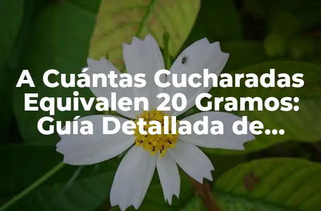 A Cuántas Cucharadas Equivalen 20 Gramos: Guía Detallada de Conversión de Medidas