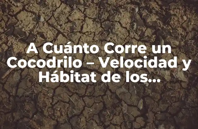 A Cuánto Corre un Cocodrilo – Velocidad y Hábitat de los Cocodrilos