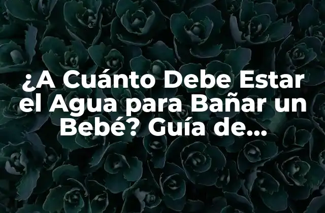 ¿a Cuánto Debe Estar el Agua para Bañar un Bebé? Guía de Seguridad y Confort