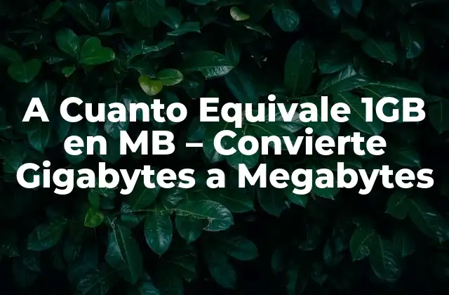 A Cuanto Equivale 1gb en Mb – Convierte Gigabytes a Megabytes
