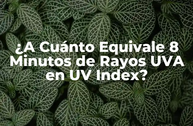 ¿a Cuánto Equivale 8 Minutos de Rayos Uva en Uv Index?