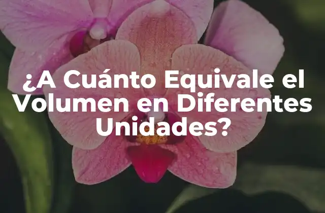 ¿a Cuánto Equivale el Volumen en Diferentes Unidades?
