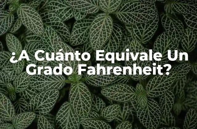 ¿a Cuánto Equivale un Grado Fahrenheit?