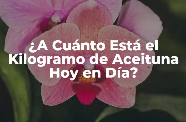 ¿a Cuánto Está el Kilogramo de Aceituna Hoy en Día? 2 El Precio del Kilogramo de Aceituna en el Mundo