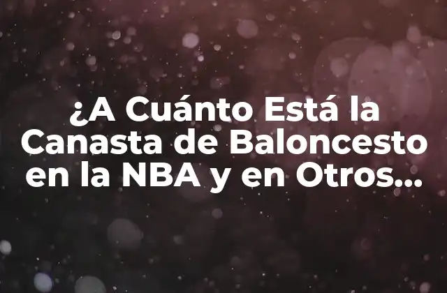 ¿a Cuánto Está la Canasta de Baloncesto en la Nba y en Otros Países?