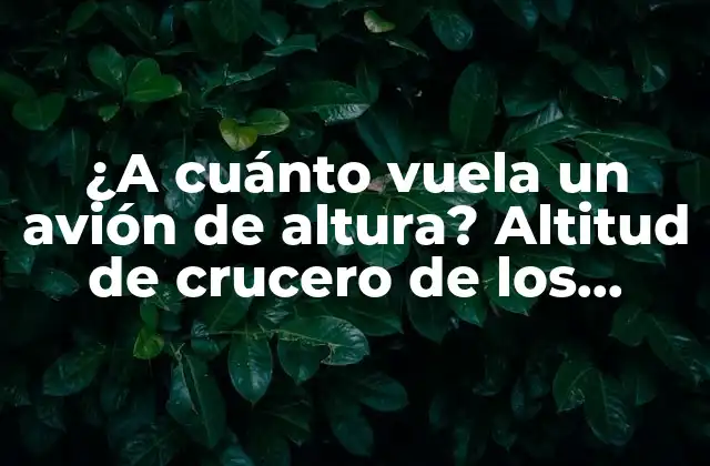 ¿a Cuánto Vuela un Avión de Altura? Altitud de Crucero de los Aviones Comerciales