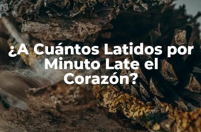 ¿a Cuántos Latidos por Minuto Late el Corazón?