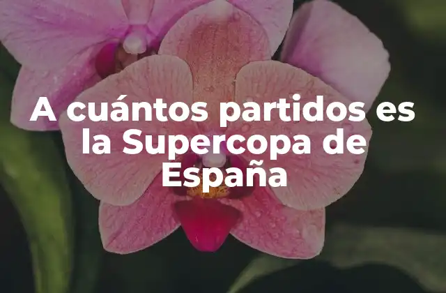 A Cuántos Partidos es la Supercopa de España