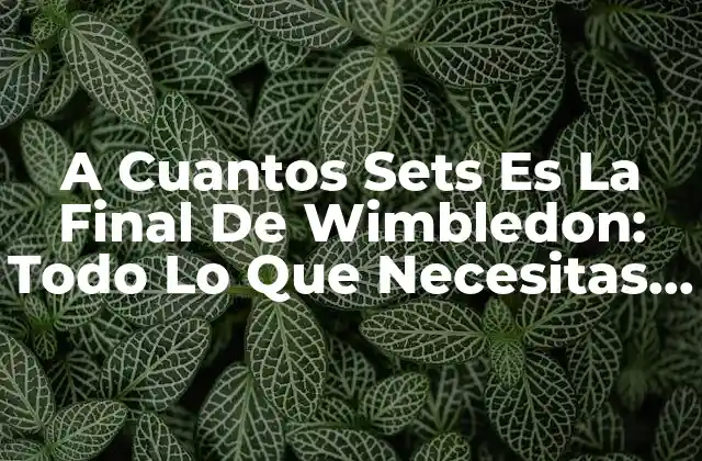A Cuantos Sets es la Final de Wimbledon: Todo Lo que Necesitas Saber 2 La Historia de la Final de Wimbledon
