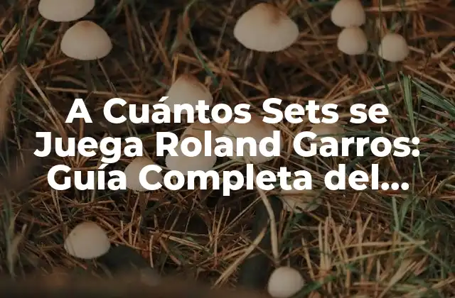 A Cuántos Sets Se Juega Roland Garros: Guía Completa Del Torneo de Tenis