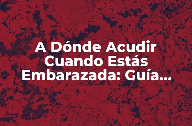 A Dónde Acudir Cuando Estás Embarazada: Guía Completa