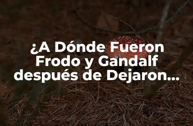 ¿a Dónde Fueron Frodo y Gandalf Después de Dejaron Moria?