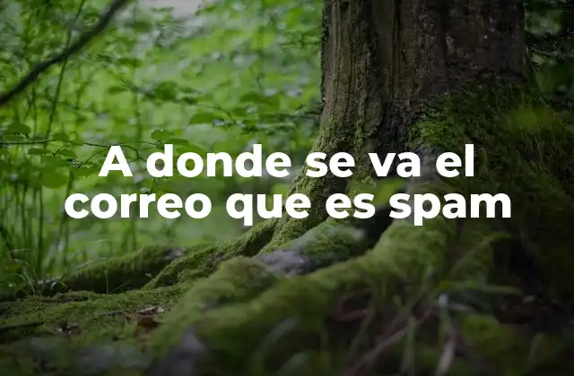 A Donde Se Va el Correo que es Spam