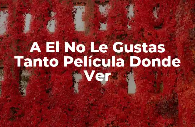 A el No Le Gustas Tanto Película Donde Ver