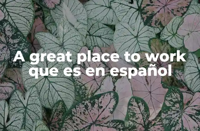 A Great Place To Work que es en Español