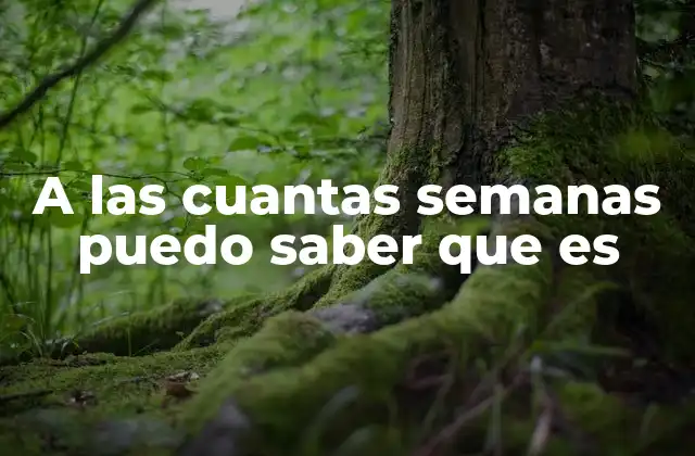 A las Cuantas Semanas Puedo Saber que es