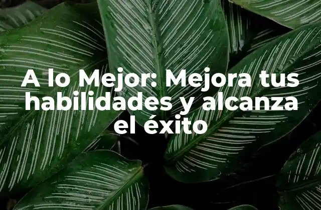 A Lo Mejor: Mejora Tus Habilidades y Alcanza el Éxito