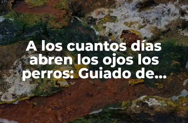 A los Cuantos Días Abren los Ojos los Perros: Guiado de Crecimiento Canino