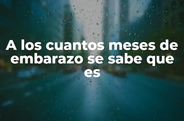 A los Cuantos Meses de Embarazo Se Sabe que es
