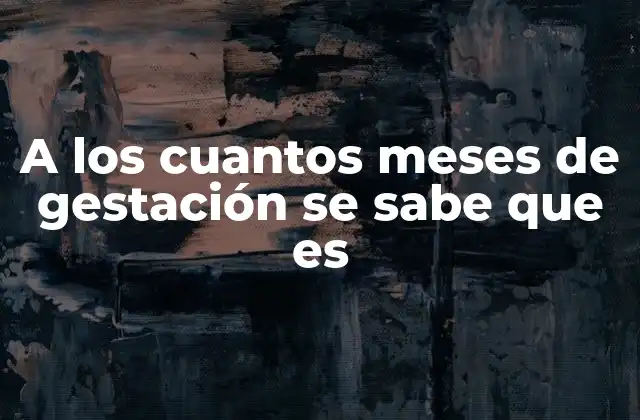 Cómo se desarrollan los órganos genitales durante la gestación