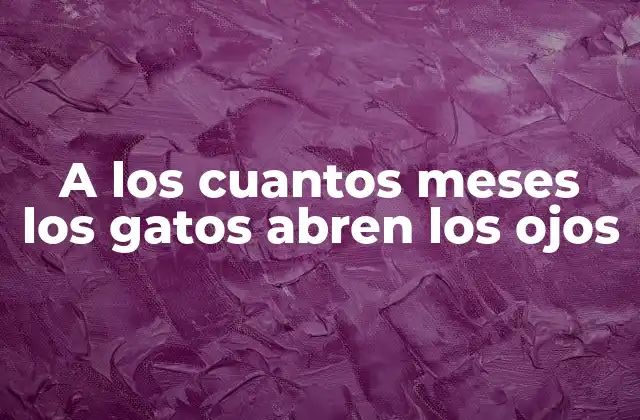 A los Cuantos Meses los Gatos Abren los Ojos 2 El desarrollo embrionario de los ojos de los gatos