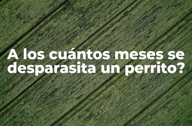 A los Cuántos Meses Se Desparasita un Perrito?