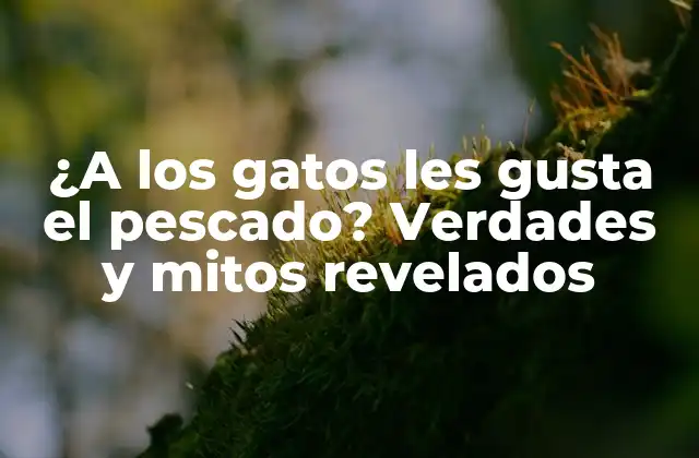 ¿a los Gatos Les Gusta el Pescado? Verdades y Mitos Revelados