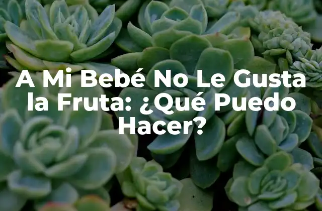 A Mi Bebé No Le Gusta la Fruta: ¿qué Puedo Hacer?