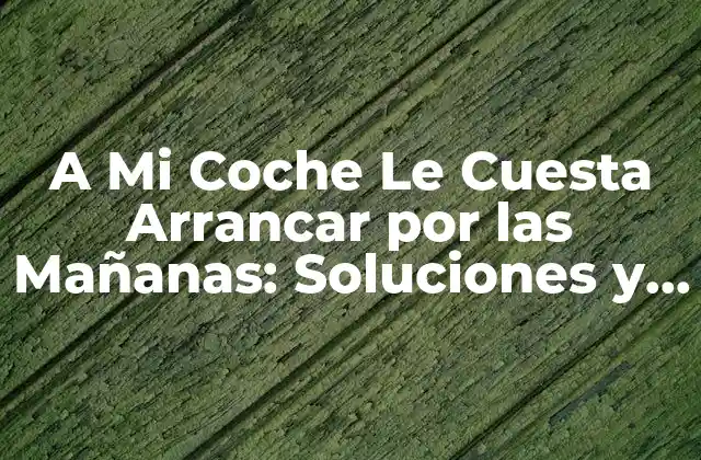 A Mi Coche Le Cuesta Arrancar por las Mañanas: Soluciones y Causas