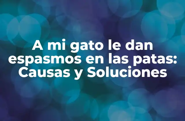 A Mi Gato Le Dan Espasmos en las Patas: Causas y Soluciones