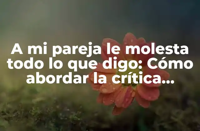 A Mi Pareja Le Molesta Todo Lo que Digo: Cómo Abordar la Crítica Constante en la Relación