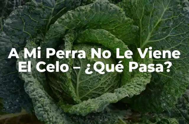 Causas Hormonales de la Ausencia de Celo