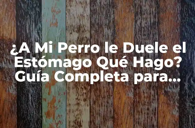 ¿a Mi Perro Le Duele el Estómago Qué Hago? Guía Completa para Ayudar a Tu Mascota